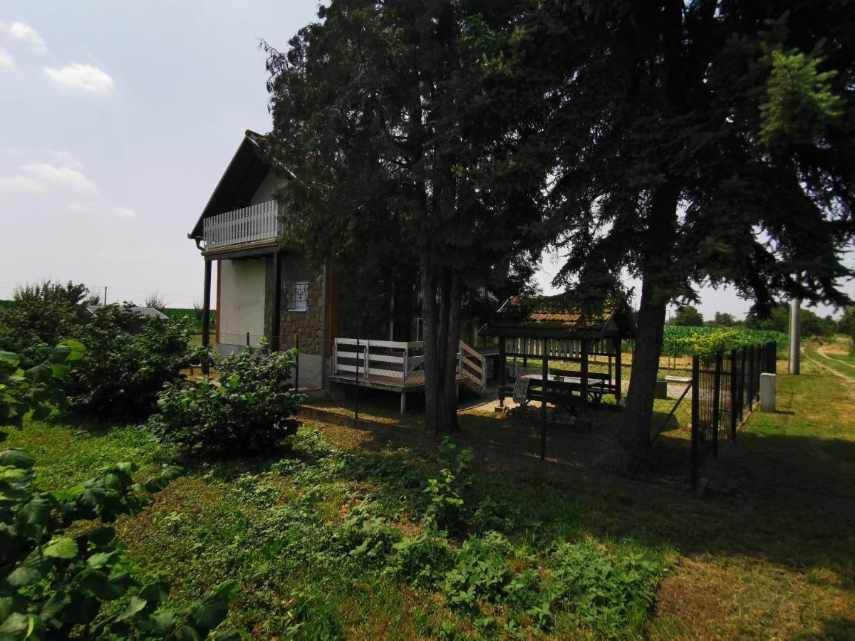 Vila Kuca Za Odmor Bella Sotin Exteriér fotografie